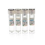 Bioland dNTP Mix 50x 10mM Each – 10x500µL Laboratory Natural Protein-0