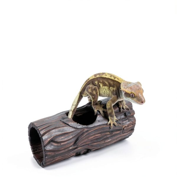 REPTIZOO Reptile Hide Cave Resin Hollow Tree Trunk Hideout Hermit Crab Climbing Toys Reptile Shelter Sleeping Cave for Arboreal Reptiles, Hermit Crabs, Leopard Gecko, Lizard Terrarium Decor-2
