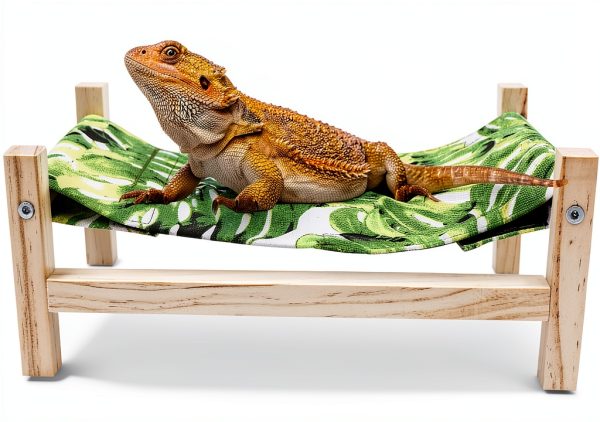 Bearded Dragon Bed Wooden Hammock by MinrzPet, Large Green for Reptile-0