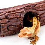 REPTIZOO Reptile Hide Cave Resin Hollow Tree Trunk Hideout Hermit Crab Climbing Toys Reptile Shelter Sleeping Cave for Arboreal Reptiles, Hermit Crabs, Leopard Gecko, Lizard Terrarium Decor-0